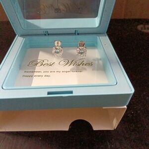 Sparkling Silver Crystal Earrings